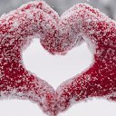  Yana, , 55  -  29  2016    