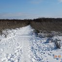 ���� �������, ������������, 54 ���� - ��������� 24 ������� 2017 � ������ �������� ������