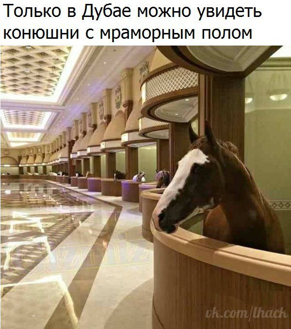  - 18  2017  12:37