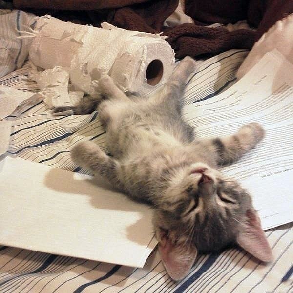 @.     ! :-) - 3