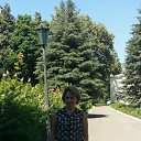  argorita,   -  26  2017    