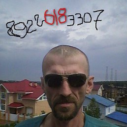 ���������, ���������, 49 ���