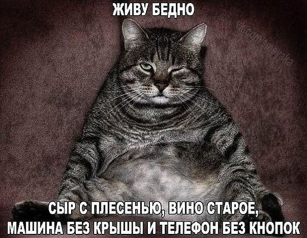  - 28  2016  00:02