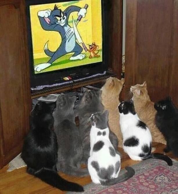   ....))))))
