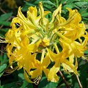 22.05.2016 �� ������� �������� ������������ ���.�