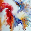 ���� �������, ������� �����, 51 ��� - ��������� 14 ������� 2016 � ������ ���� ����������