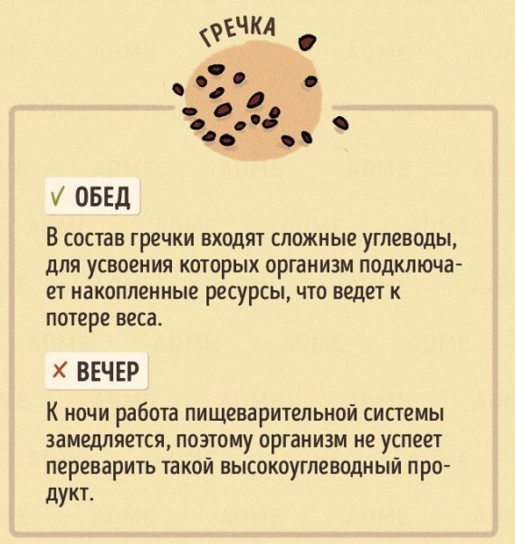 В какое время дня лучше есть те или иные продукты. Не потеряй - 5