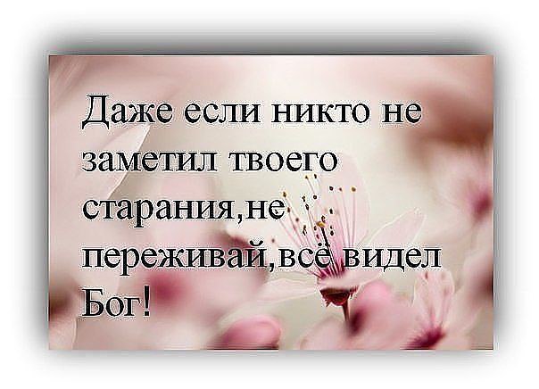 .https://fotostrana.ru/away?to=/sl/kxC2 - 30  2016  11:55