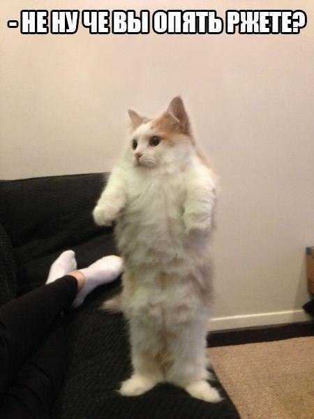 ***Victoria Viktorovna*** - 22  2017  12:39