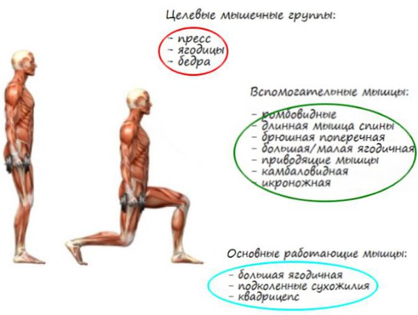 Выпады по залу с гантелями какие мышцы