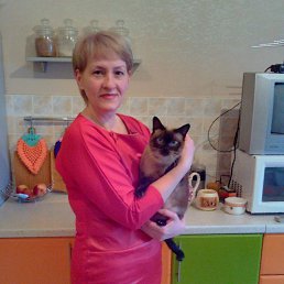 �������, ������ �����, 54 ����