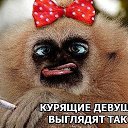 ���� Igor, ������ - ��������� 29 ������� 2016 � ������ ������ ��������