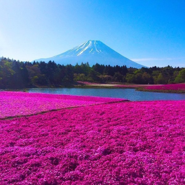 ���� ������� � ����������� ���� �����, ������