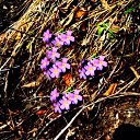  ,  -  15  2017              70     ӻ