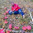  Al, , 57  -  25  2016