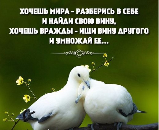 Всем ненавидящим меня желаю счастья! И ставлю в Храме вам за здравие свечу. Ведь это больно – жить у ...