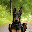 ���� �������, �����-���������, 45 ��� - ��������� 19 ������� 2016 � ������ ������ ��������