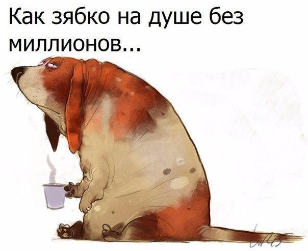   - 3  2017  14:18