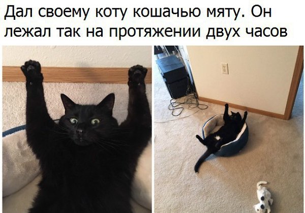  - 13  2016  04:37