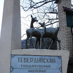 ���� �������, ��� - ��������� 10 ������ 2016