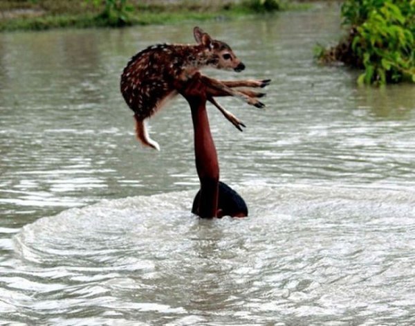 �������� ���������� �� ���� 