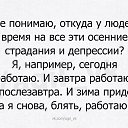 ���� ������, ������, 44 ���� - ��������� 4 ������ 2016 � ������ ������ ��������