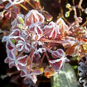 ���� �����, �����, 64 ���� - ��������� 22 ������� 2016 � ������ ������� ���������