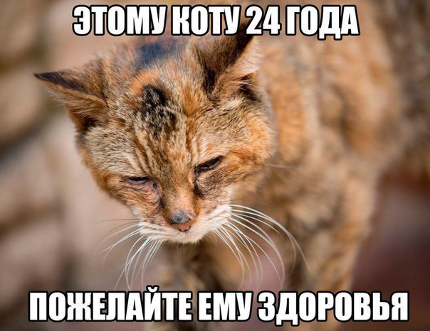    :D - 20  2017  20:41