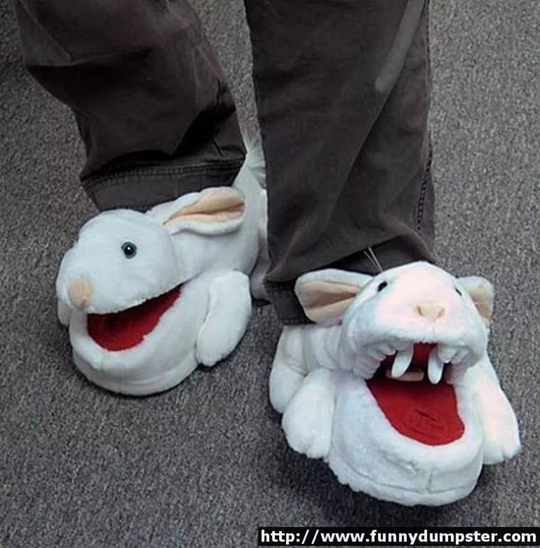 Приколы с тапком. Смешные картинки. Кошачьи тапочки. Тапочки мем. Тапочки коты реалистичные.