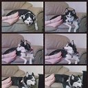 ���� Baxromjon_585, ������, 58 ��� - ��������� 26 ����� 2017 � ������ ������ ��������