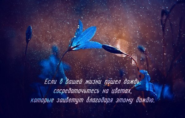   - 25  2017  15:57