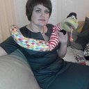 ���� �������, ������ - ��������� 25 ������ 2017 � ������ ���� ����������