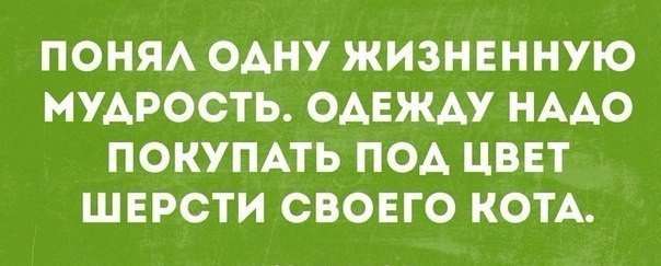    - 26  2017  14:13