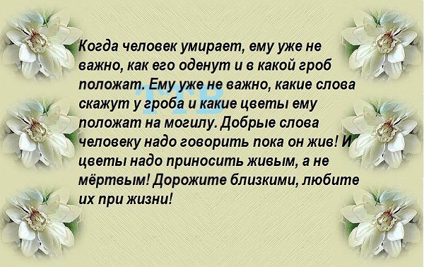  ....... - 14  2017  22:09