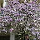 ���� �������, ��������, 51 ��� - ��������� 13 ������� 2016 � ������ ���� ����������