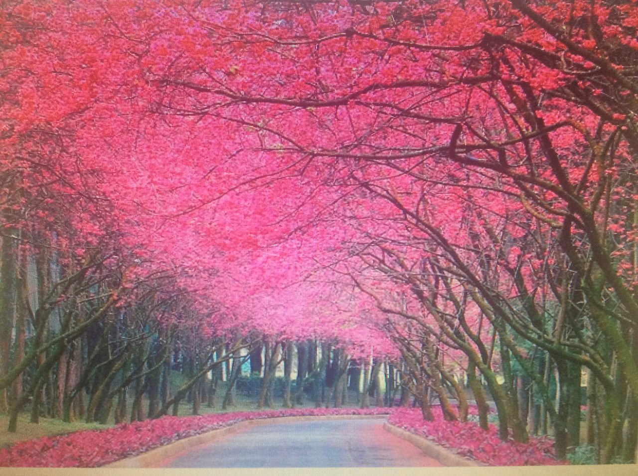      .   ,   ,   ...