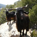 ���� �����, ����, 34 ���� - ��������� 23 �������� 2016 � ������ �Turkey, Marmaris�