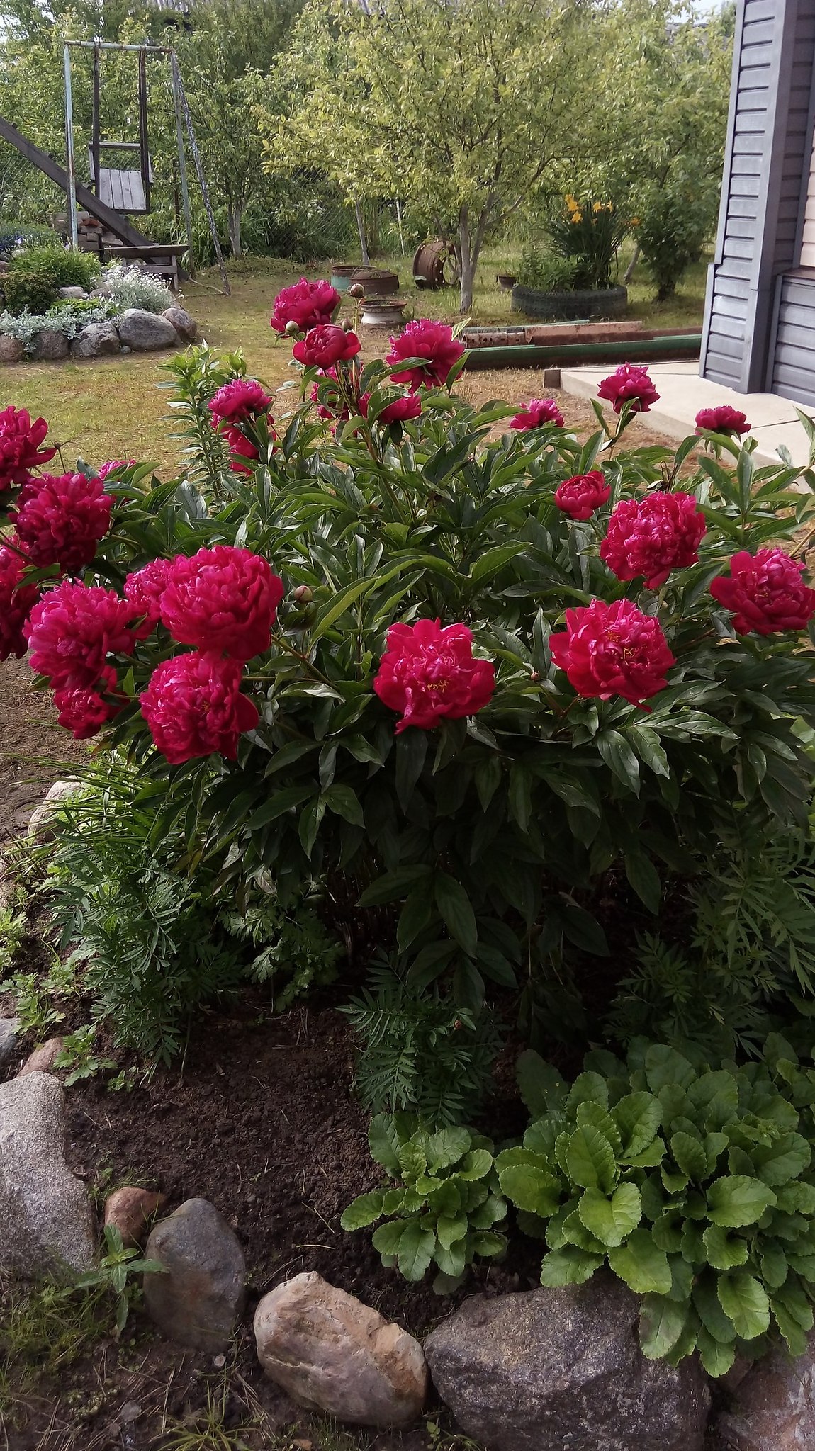 ���� ��������� - 8 ���� 2017 � 22:18