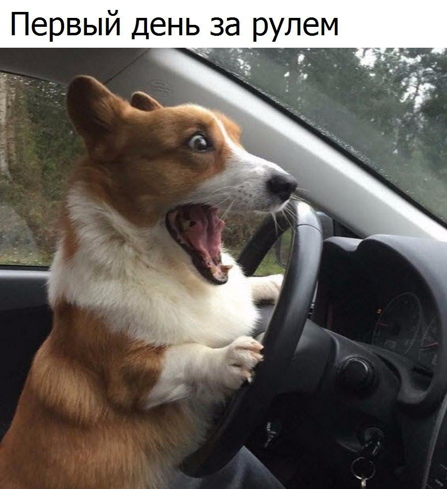   - 28  2017  13:18