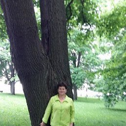 , 61, ,  