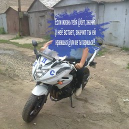, , 56 