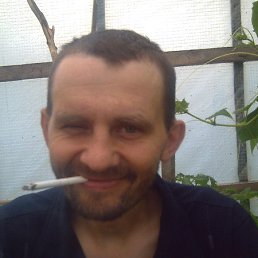 �������, �����������, 53 ����