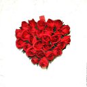 ���� ����, �������, 44 ���� - ��������� 19 ������� 2017 � ������ ���� ����������