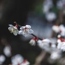 ���� Irin�, ������, 46 ��� - ��������� 26 ��� 2017 � ������ ������ ��������
