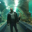  , , 43  -  4  2017     !!!