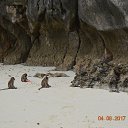 ���� �������, ���������, 46 ��� - ��������� 19 ������� 2017 � ������ ����������