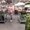 ���� ����, ������-��-����, 54 ���� - ��������� 13 ��� 2017 � ������ ���������� ������