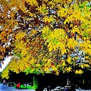  ,  -  24  2017                   Ѩ       һ