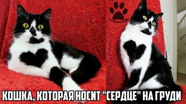 ��� �������� �������� - 26 ��� 2017 � 12:11