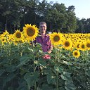 18.07.2017 Laubusch / Sachsen    